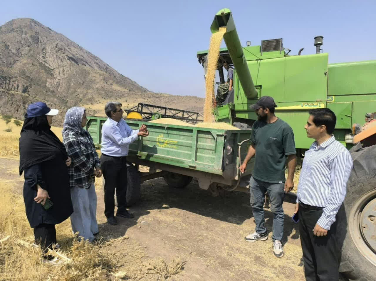 ثبت عملکرد ۲ تنی گندم در مزارع سردسیر الموت شرقی