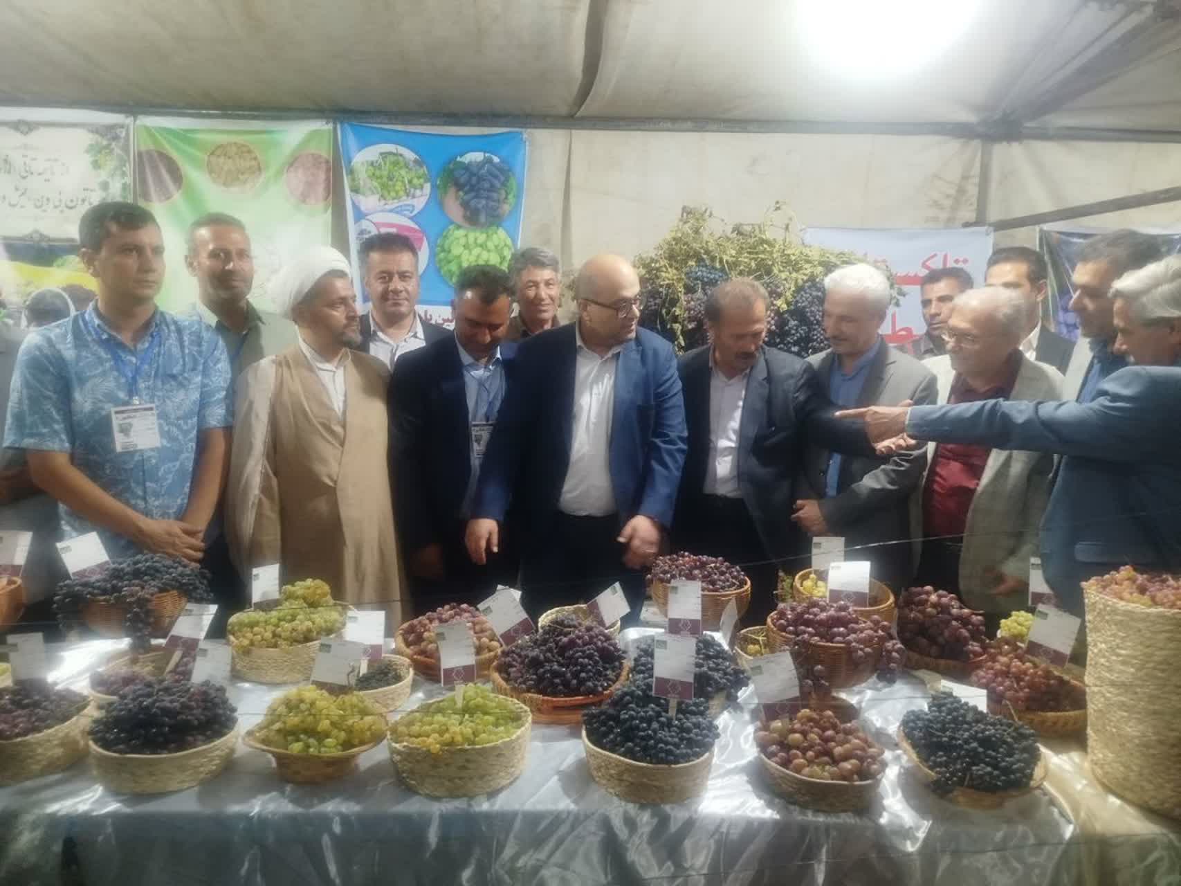 سی‌امین جشنواره ملی انگور در تاکستان برگزار شد